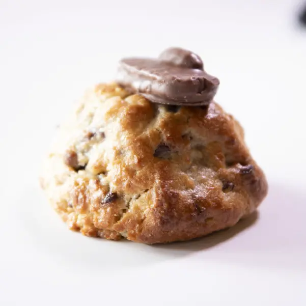 Dark Coconut Cookie with dark chocolate filling and Almond Joy topping